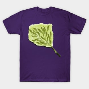 Botanical Paintbrush T-Shirt